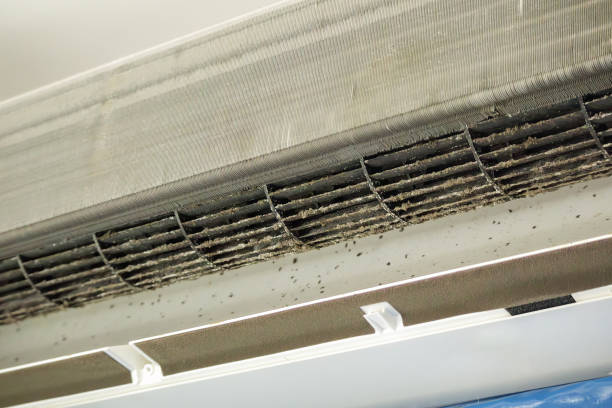 Ventilation Cleaning Services in Atlantic, IA